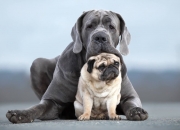 -绿茵圣徒与钢铁防线，萨拉赫如何在对决中加冕硬仗之王