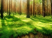 LOL赛事-当西湖遇见落基山，一场跨越时空的篮球奇缘