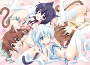 英雄联盟总决赛2025-跨越大洋的同一把利刃，范弗利特斩落上海，又在世界杯的战场展露锋芒