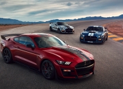 -梦幻跨界，玻利维亚的足球逆袭与久保建英的篮球奇迹—当体育界限被打破