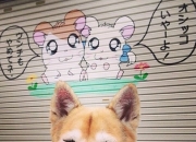 英雄联盟总决赛时间-日灼天赋，星光乍现