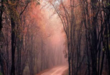 英雄联盟总决赛2025-赤道线上的征服，尤文高原客战厄瓜多尔，凯塞多的降维打击