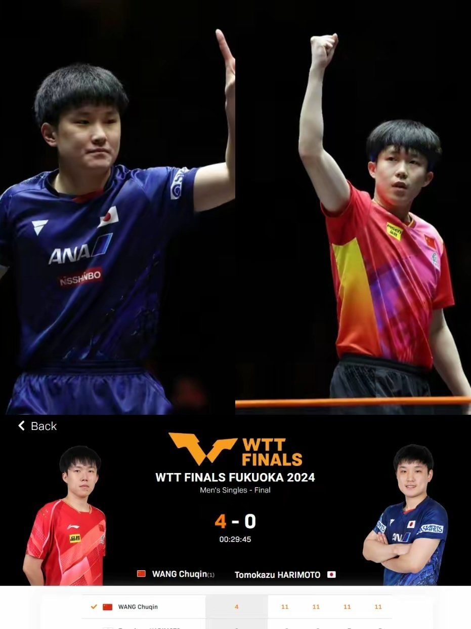 英格兰队逆转法国队，张本智和惊艳四座