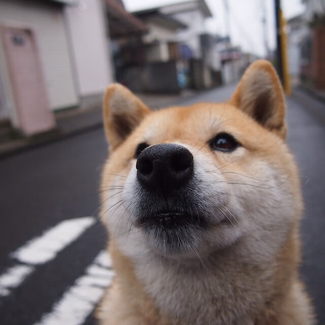 杜兰特独战平行宇宙，当我同时为山西与公牛投出关键球