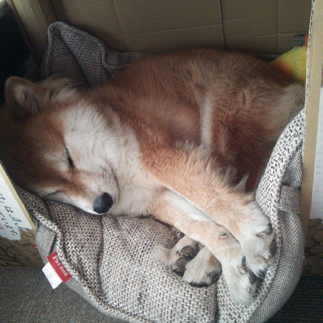 双重压力测试，从维尼修斯的救赎到喀麦隆的钢铁防线