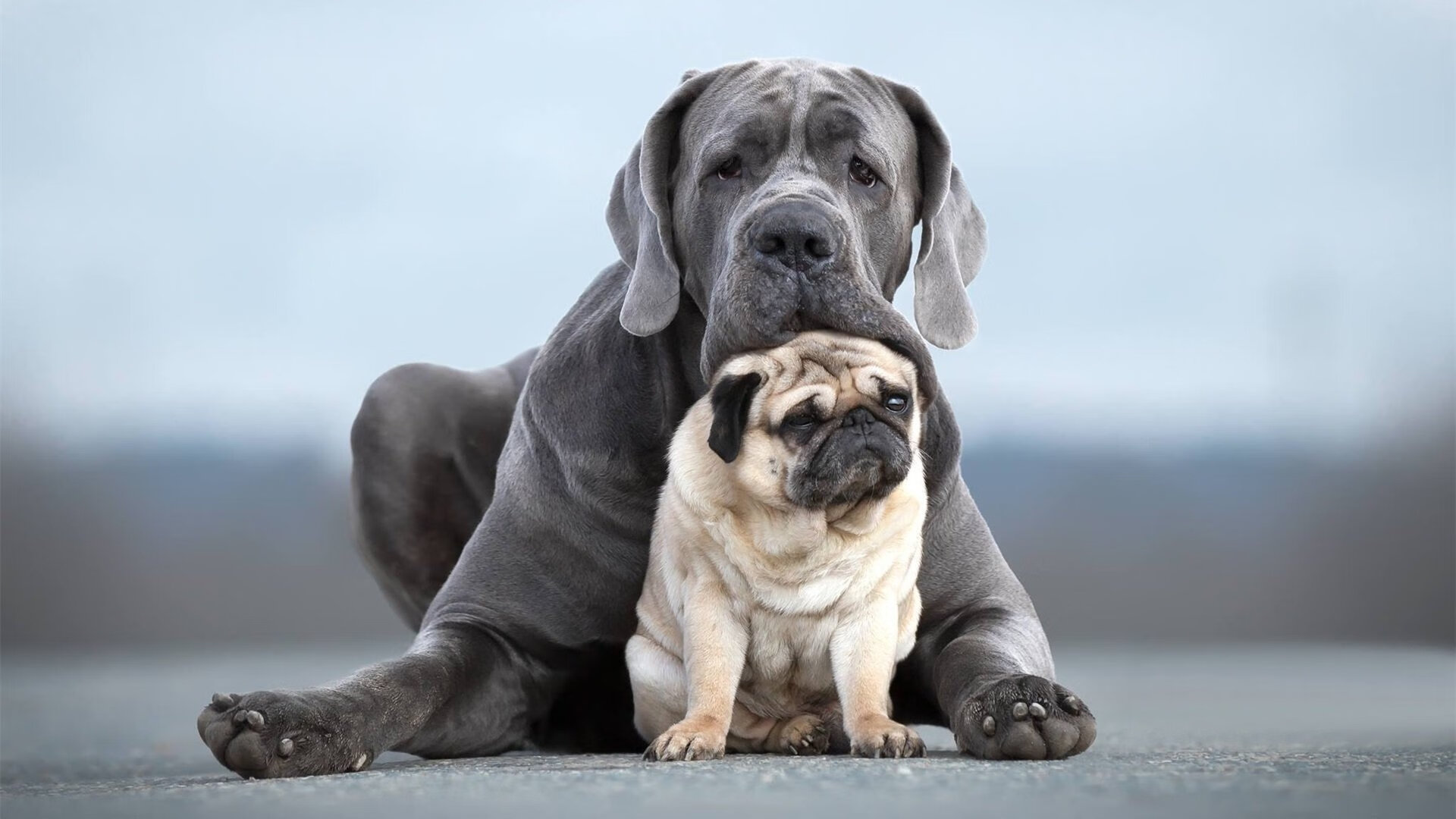 绿茵圣徒与钢铁防线，萨拉赫如何在对决中加冕硬仗之王