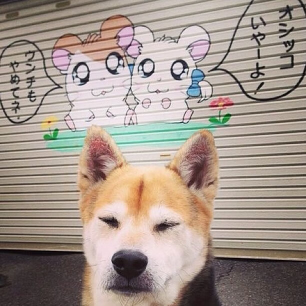 奥林匹斯山的黄昏，当多特蒙德遇见希腊，门迪一箭定乾坤