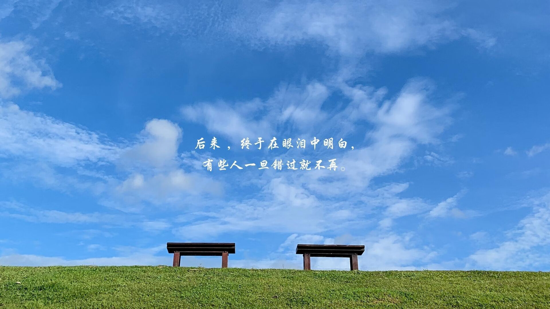 霍勒迪制霸攻防,快船逆境展露冠军獠牙,老鹰为他沉默三分钟