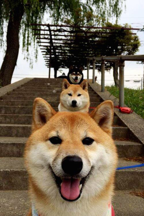 圣保罗归来！黄蜂巨翅横扫鹈鹕，新奥尔良之夜见证控卫之神