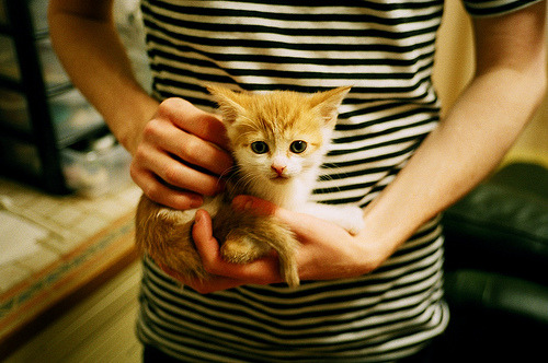 魔翼觉醒,阿什拉夫传射导演,皇家社会轻取哥斯达黎加