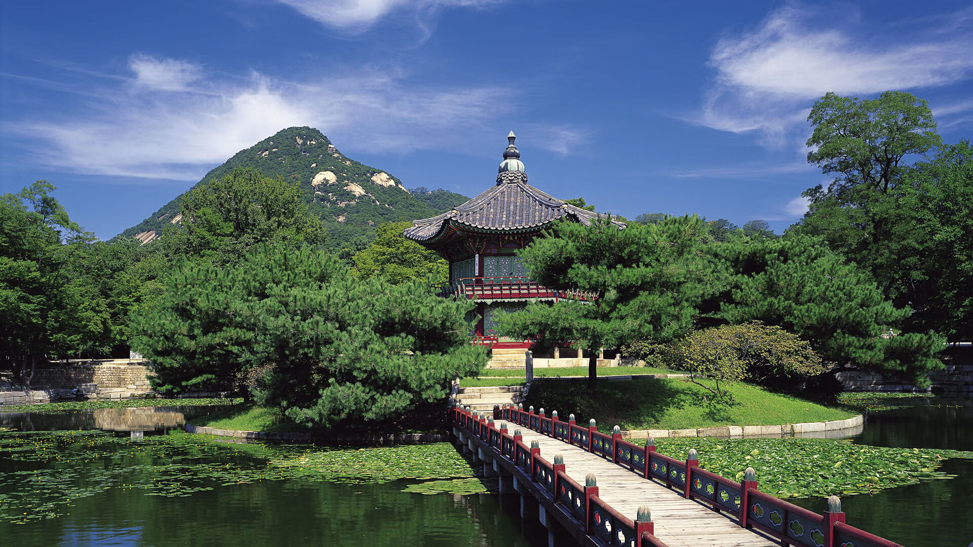 一夜之间，三声哨响，一位主宰者