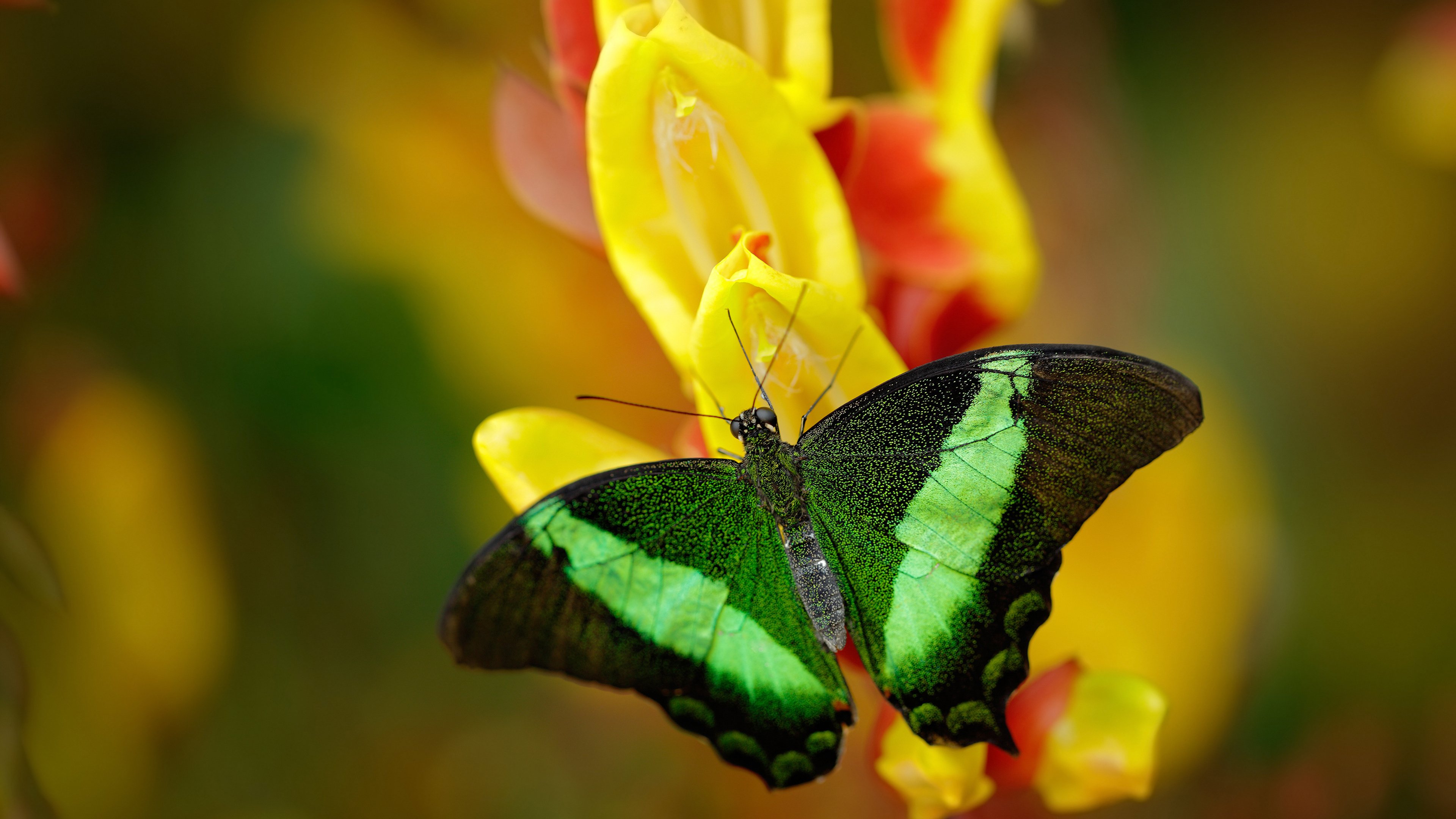 虚构的米切尔，一场提前被剧透的胜利