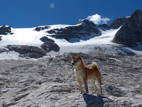 雷鬼风暴席卷红牛竞技场，德里赫特一锤定音，牙买加友谊赛轻取莱比锡