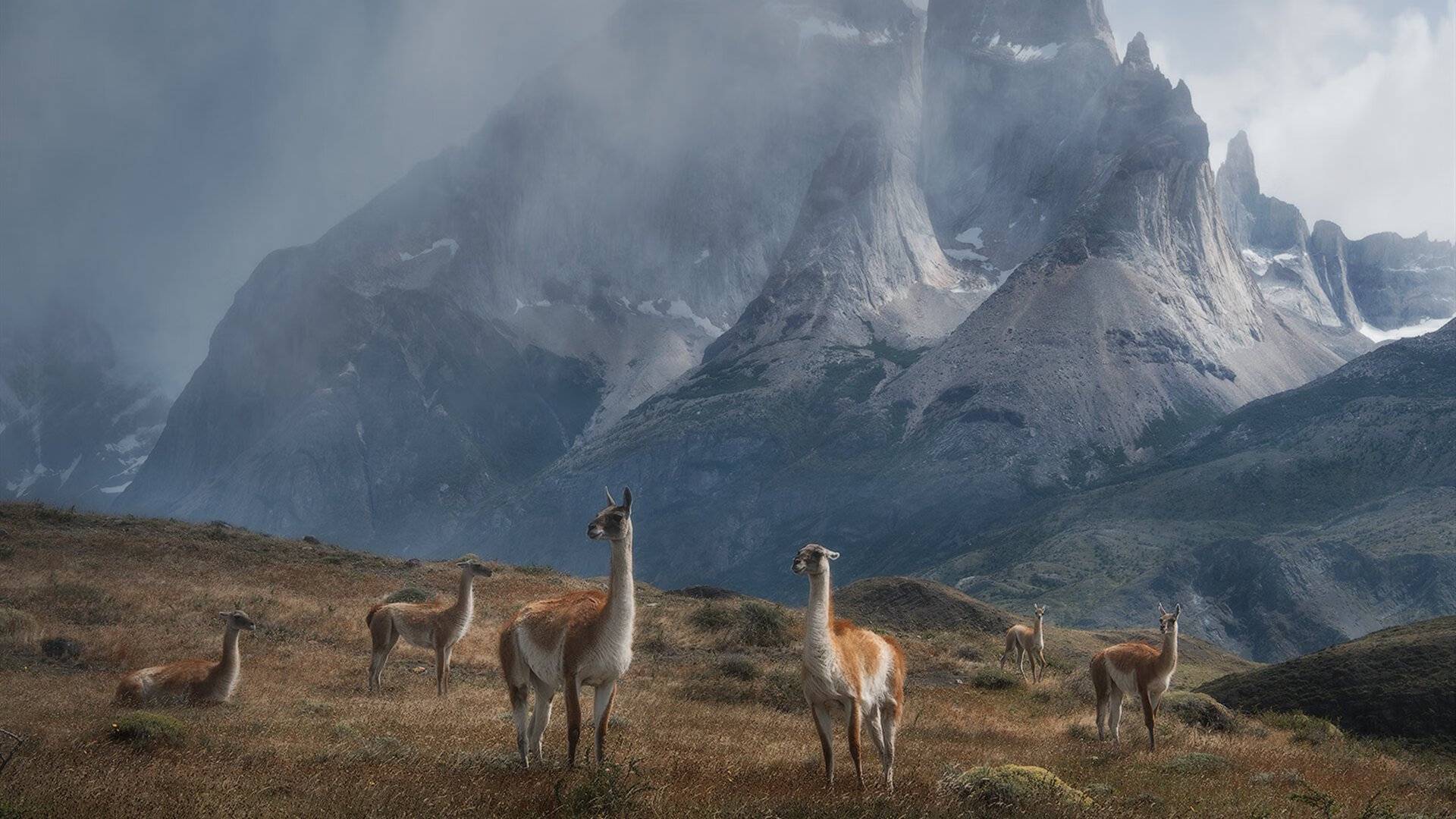 生死七分钟，当时间静止，命运在篮板间轰鸣