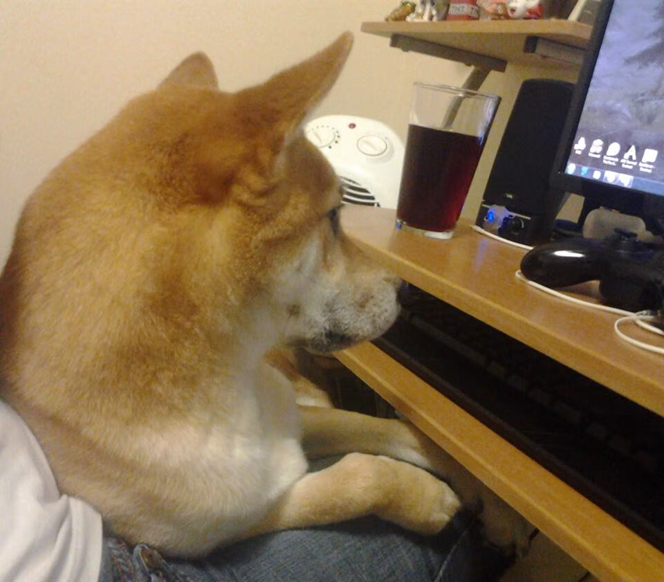 唯一性，当金色海洋遇见撕裂之城，一个诗人的致命变奏