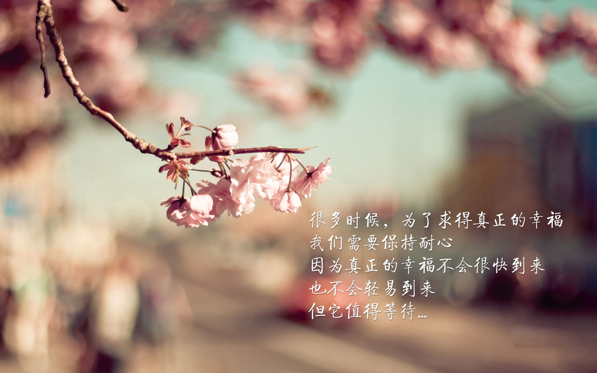 唯一性的锋芒,当浙辽之战的热血,撞上恩比德硬仗之王的孤勇